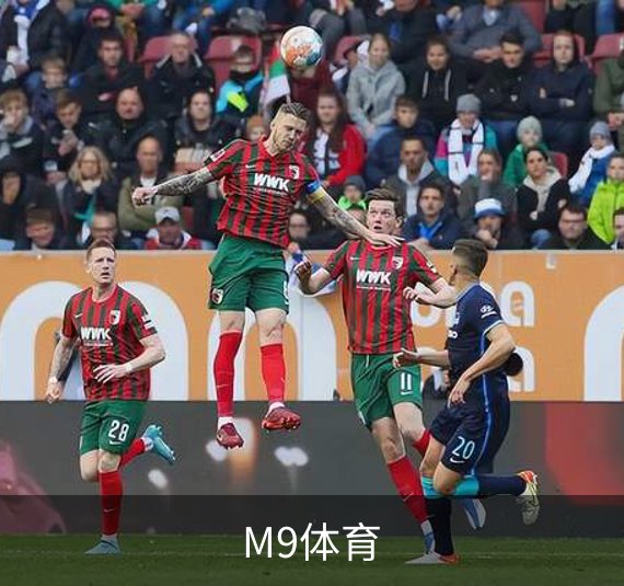 了解M9体育